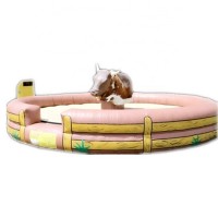 Hot sale mechanical bull ride inflatable set for sale